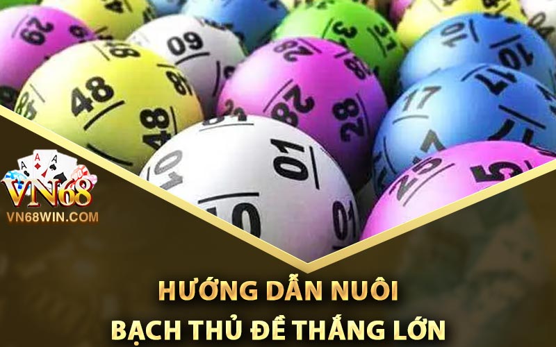 Bạch Thủ Đề - Cách Bắt Chuẩn Xác Và Phân Tích Trong Lô Đề 4 Hướng dẫn nuôi bạch thủ đề thắng lớn