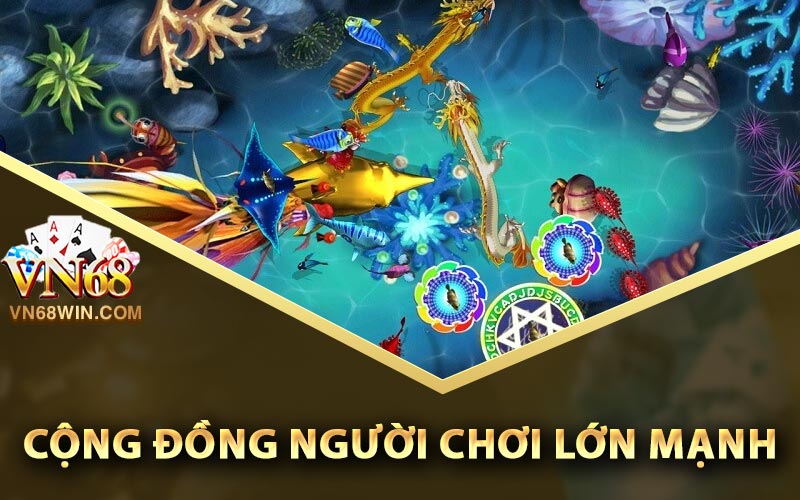 Vua Bắn Cá - Phiêu Lưu Kiếm Tiền Thưởng Cùng Bắn Cá 2 Cộng đồng người chơi lớn mạnh